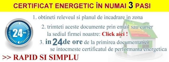 NICULESCU P.CLAUDIU - Auditor energetic gradul I